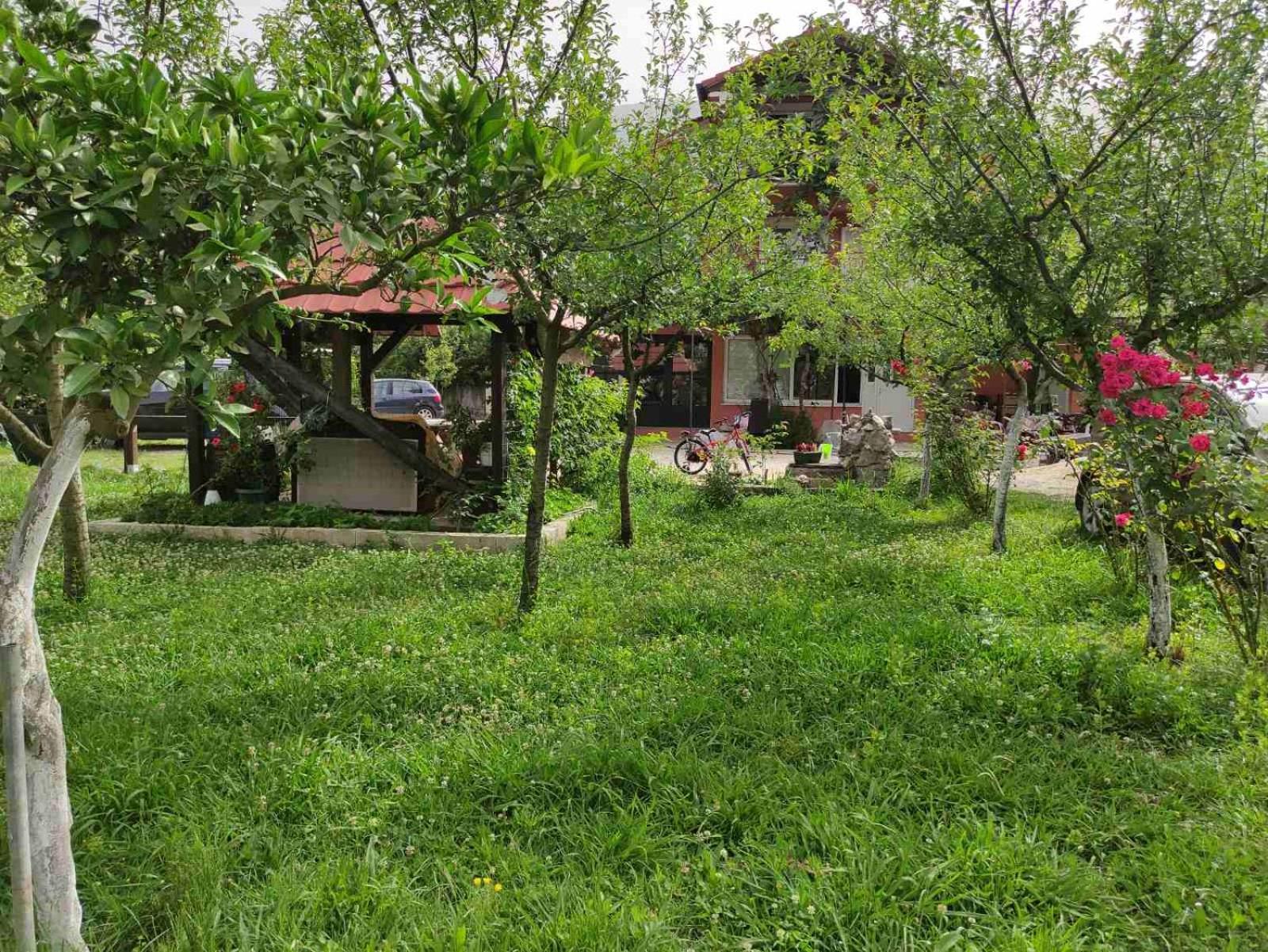 Green Valley Kotor Exterior foto